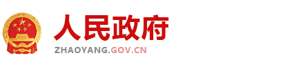 国资监管-政府协会pbootcms网站模板(手机端数据同步)-92建站