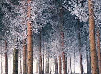 企业网站如何更新内容，优化推广？