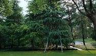 发改委补短板120示范县能打开1500县域环保局面么？